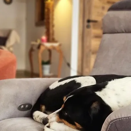 Charmantes D'hotes En Montagne, Animaux Admis Sur Accord - Fr-1-589-729 Bed & Breakfast Ventron