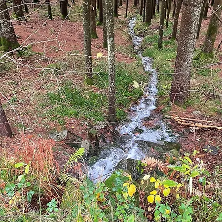 Charmantes D'hotes En Montagne, Animaux Admis Sur Accord - Fr-1-589-729 Ventron