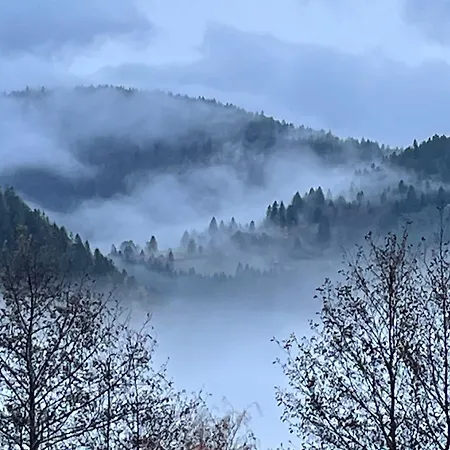 Charmantes D'hotes En Montagne, Animaux Admis Sur Accord - Fr-1-589-729 * Ventron