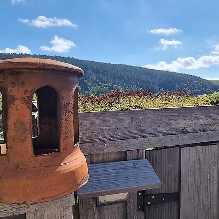 Charmantes D'hotes En Montagne, Animaux Admis Sur Accord - Fr-1-589-729 Ventron
