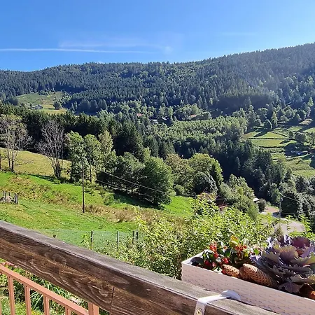 Charmantes D'hotes En Montagne, Animaux Admis Sur Accord - Fr-1-589-729 * Ventron