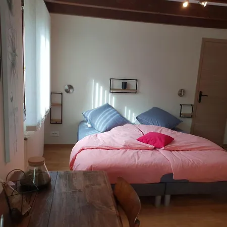 Bed & Breakfast Charmantes D'hotes En Montagne, Animaux Admis Sur Accord - Fr-1-589-729 Ventron